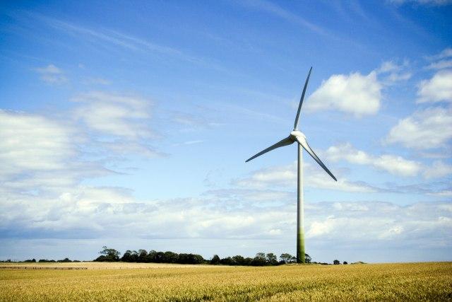 Antić: Gradićemo vetrenjače od 100 megavati