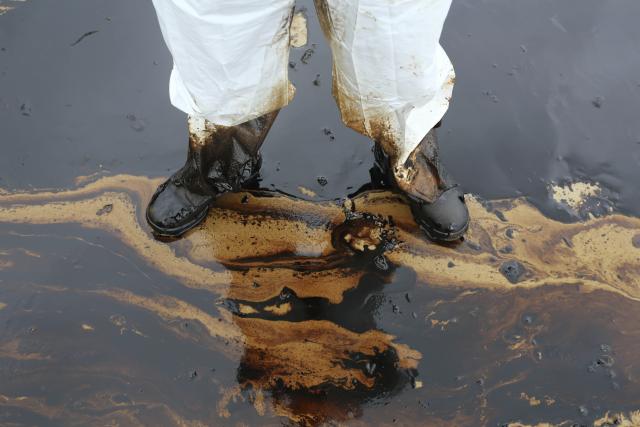 Srpski i japanski naučnici udruženo protiv naftnog zagađenja