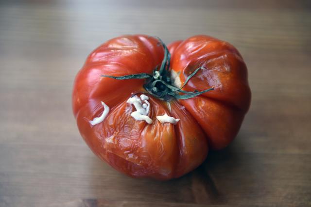 Nauènici proizveli struju od trulog paradajza