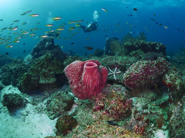 Grade kanal od 700 km, Rusija na Indijskom okeanu?