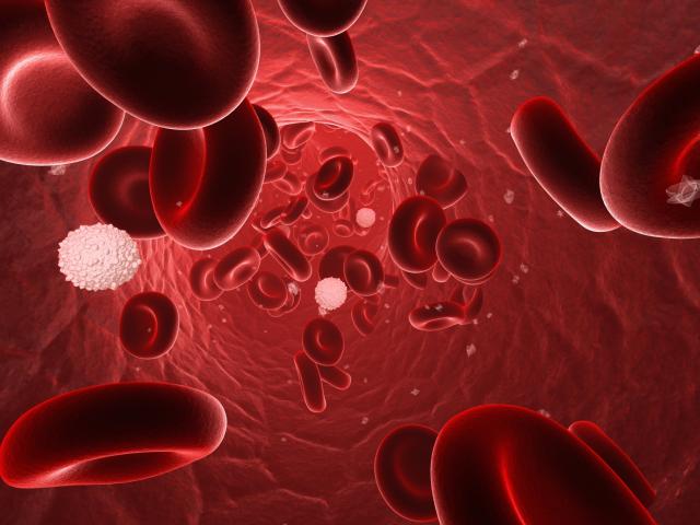 Napitak od 2 sastojka, koja sigurno imate u kući: Čisti vašu krv od lošeg holesterola