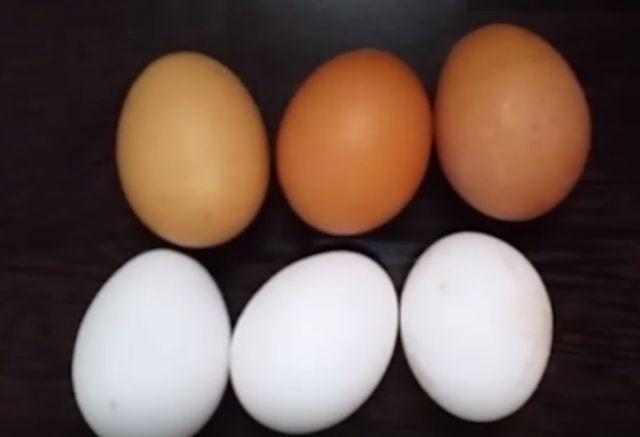 Kako da izbelite jaja (VIDEO)
