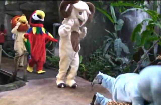Remi Galjar napravio haos u zoološkom vrtu (VIDEO)