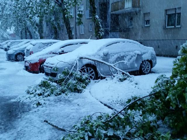 Thousands without electricity as April snow hits Slovenia