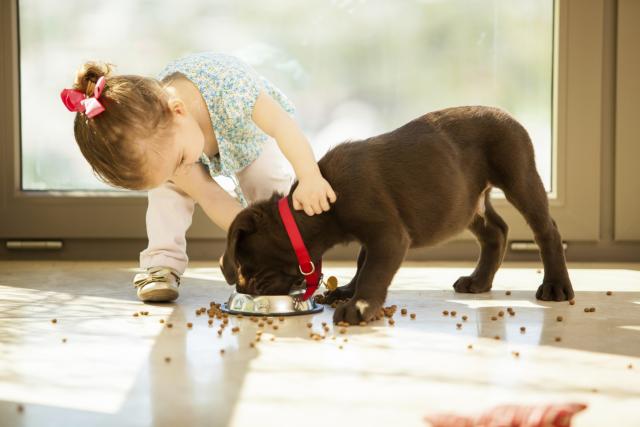 Pravilno hranjenje psa: Šta ne smete zaboraviti?