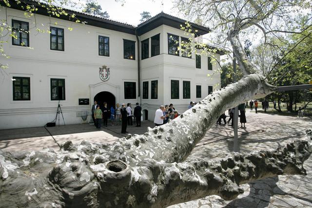 Porteti dinastije Obrenoviæ kroz pank vizuelnu umetnost