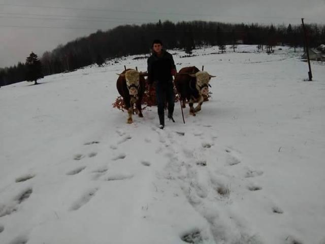 Majski sneg u Novoj Varoši: Nestala struja, mraz... / FOTO