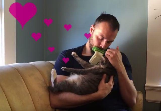 Bizarno pomagalo vam omoguæava da “ližete” svoju maèku