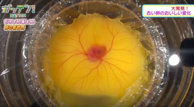 Da li je ovo odgovor na pitanje "Šta je starije: koka ili jaje?"