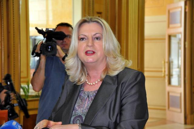 Pristina vows to stop building of Serb returnee settlement