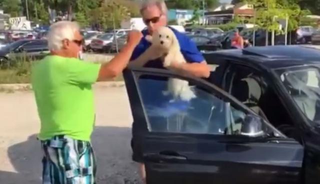 Razbio prozor BMW-a kako bi izbavio zakljuèanog psa