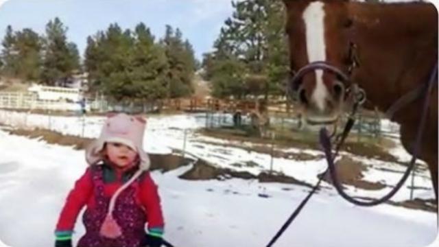 Kada devojèica izvede konja u šetnju (VIDEO)