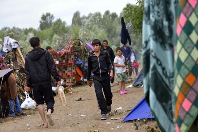 "2,500-3,000" migrants currently in Serbia