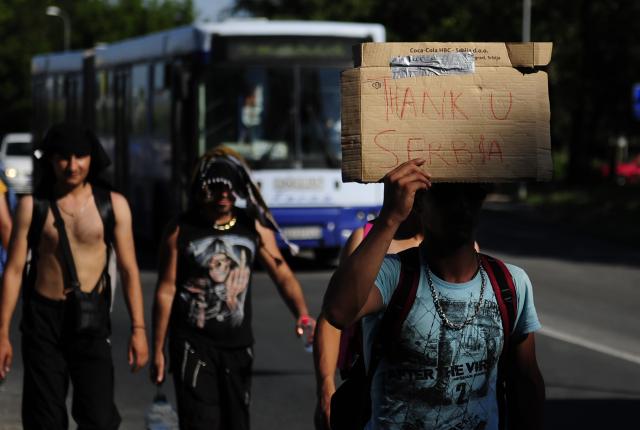 Migranti pešice u Mađarsku, stigli do Inđije /FOTO