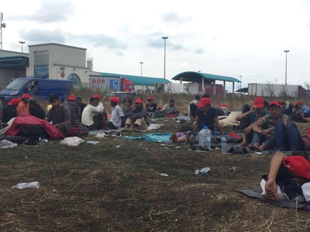 Migranti prekinuli štrajk glađu, ostaju u Srbiji