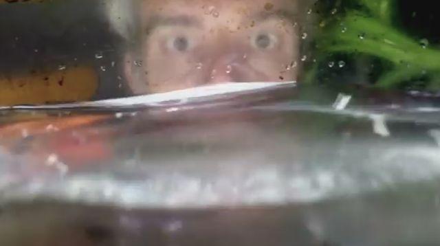 Rompomponi - razgovori o mentalnom zdravlju