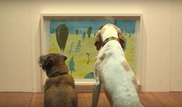 Zavirite u prvu izložbu za pse (VIDEO)