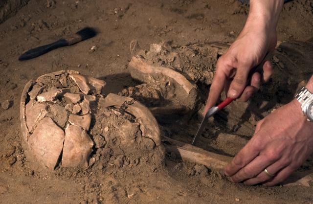 Otkriće iz Srbije menja sve što znamo o neolitu u Evropi