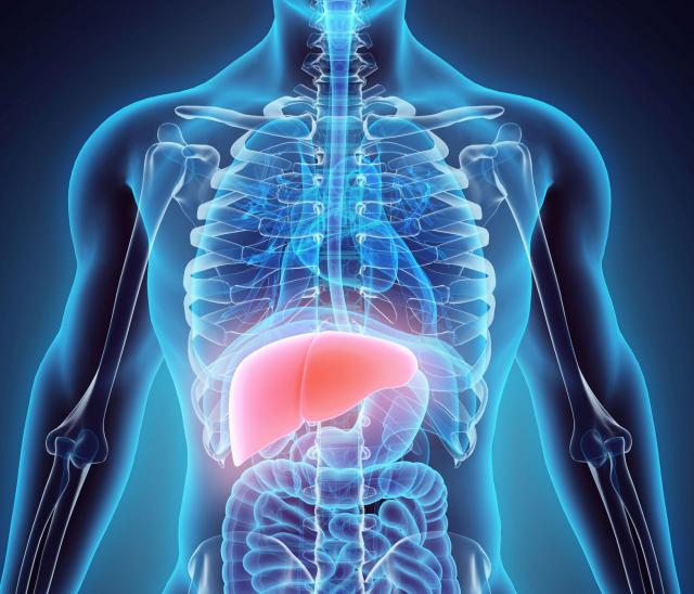 Ovo vam ubedljivo najviše uništava jetru: Evo èime da je obnovite