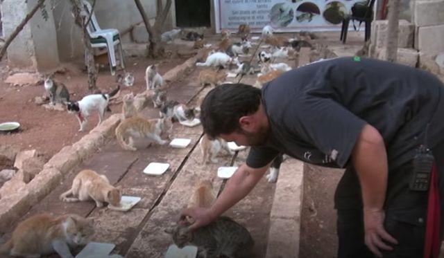Muškarac ostao u Alepu da čuva mačke (VIDEO)