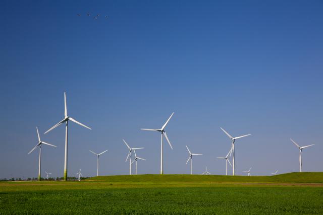 Antiæ: We will build more wind farms
