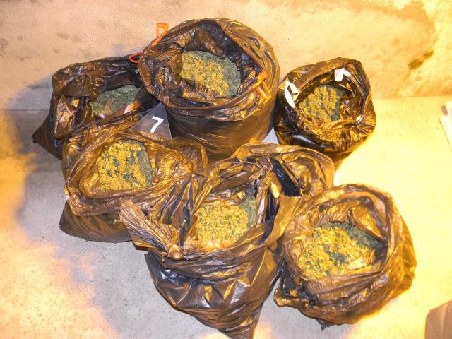 Policija u Nišu zaplenila 90 kilograma marihuane /FOTO
