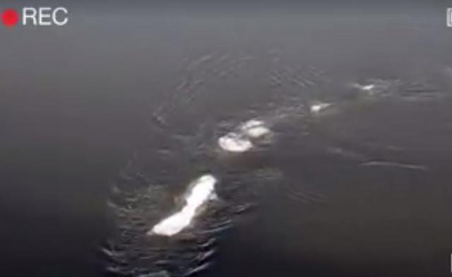 Aljaska: Nešto čudno plovi rekom (VIDEO)