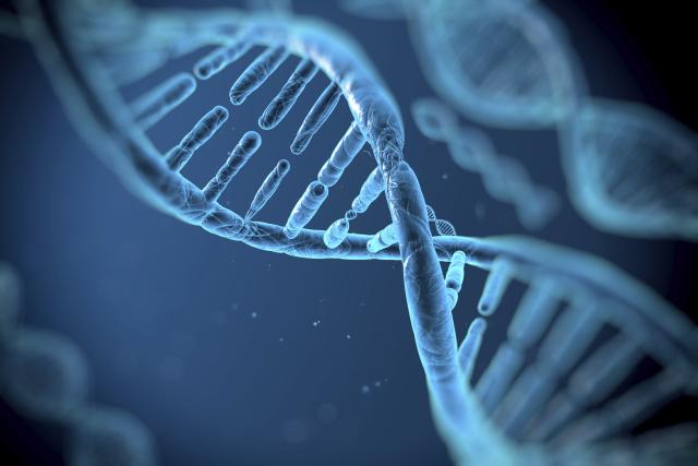 Novi proboj u medicini: Naučnici otkrili “Sveti gral” genetike
