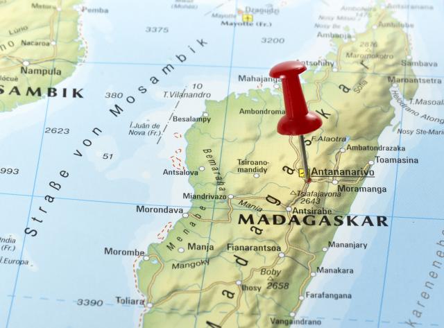 Kako će se Dačić i Tači boriti za Madagaskar