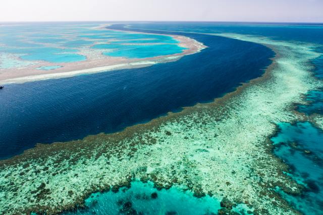 Deo Velikog koralnog grebena je potpuno uništen