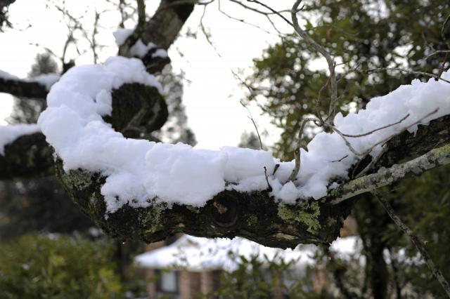 Oblačno, ponegde sneg, lokalno stvaranje nanosa