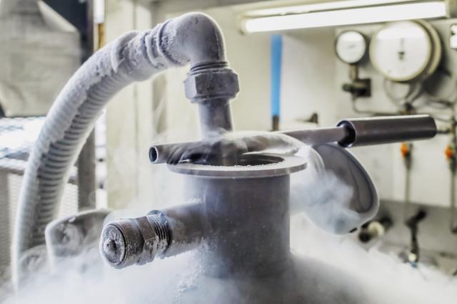 Da li ćemo ikada vratiti kriogeno zamrznuta tela u život?