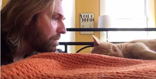 Osvetio se maèku jer ga je budio svako jutro u 4h VIDEO