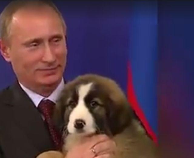 Ovako se Vladimir Putin druži sa životinjama (VIDEO)