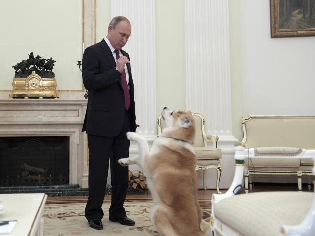 Gde on tu i pas: Putin vodi svog psa i na intervju FOTO