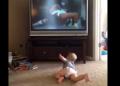 Snimak koji je videlo skoro milion ljudi: Beba vežba kao Roki, ali zaista