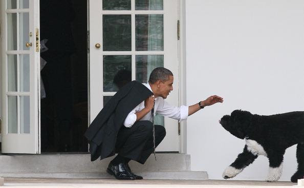 Obamin pas ujeo gošću u Beloj kući