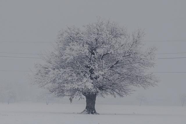 Poèela snežna oluja, totalni kolaps na putevima Hrvatske