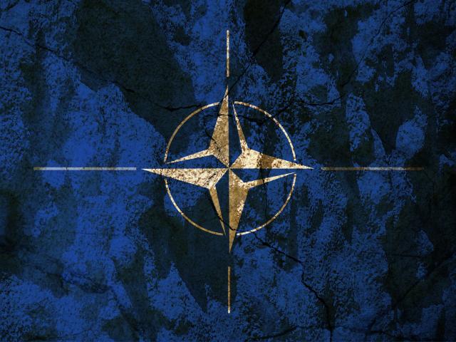"Moramo da obuzdamo Ruse, više NATO snaga na Kosovu"