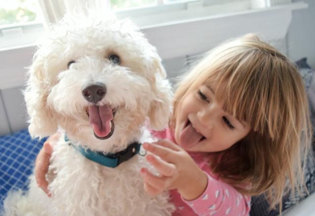 Terapijski pas Norbert pomaže bolesnoj deèici (FOTO)