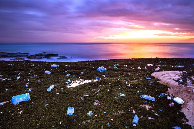 "U okeanima bi moglo da bude više plastike nego ribe"