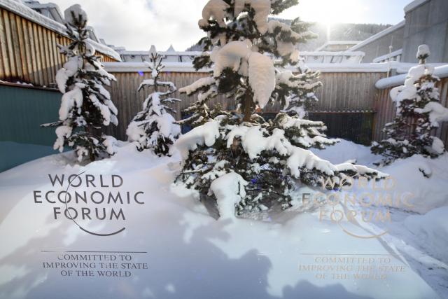 Ðinping "tektonski poremeæaj" za Davos