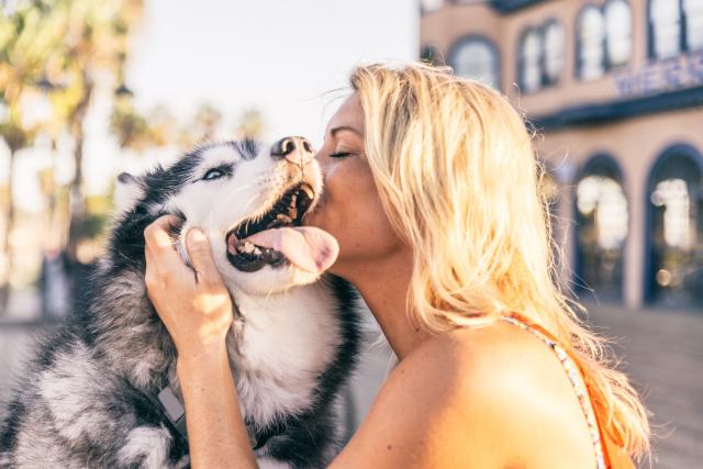 14 stvari koje radi skoro svaki vlasnik psa