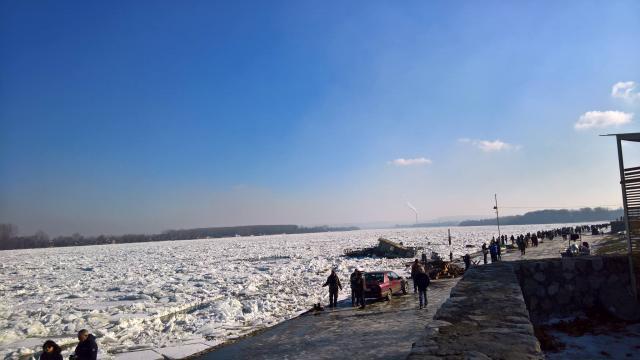 Zemunac skoèio u ledeni Dunav da spase psa FOTO