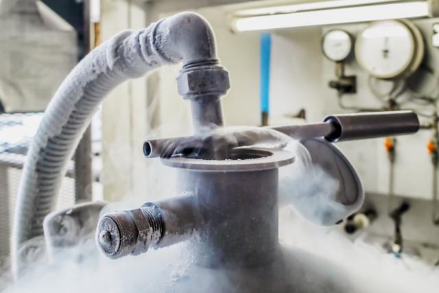 Kriogeno zamrzavanje: “Povratak u život ipak nije moguć”