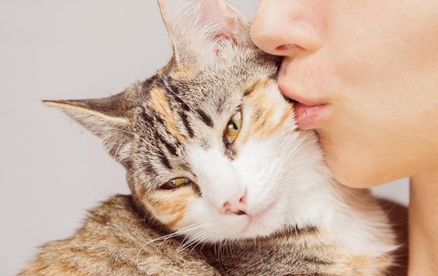 Zašto su mačke naklonjenije ženama?