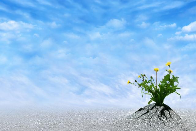 Da li je strpljen uvek spasen?