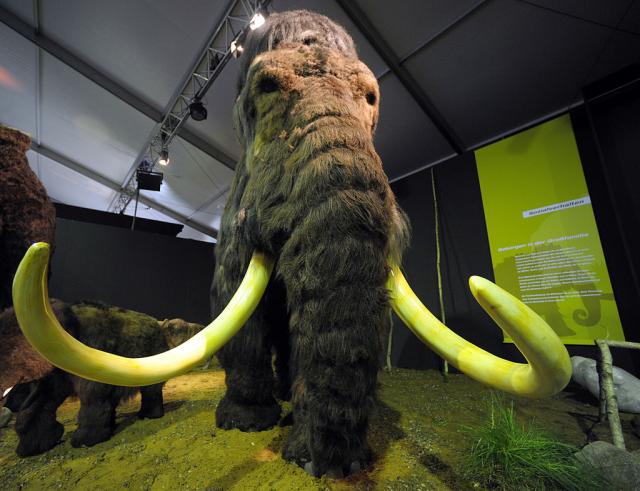 "Ne oživljavajte mamuta ako neæete da izazovete nova izumiranja"