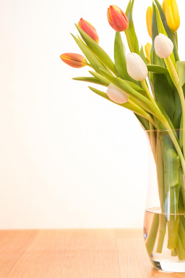 Šta posle 8. marta: Kako da cveæe duže traje?