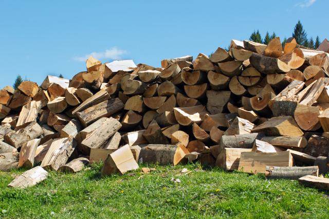 Rampa: Meštani blokiraju seču i izvlačenje drva